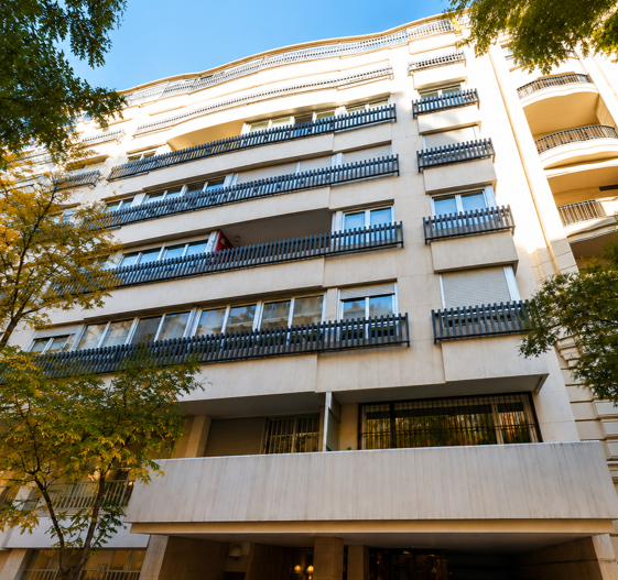 Ayala 43